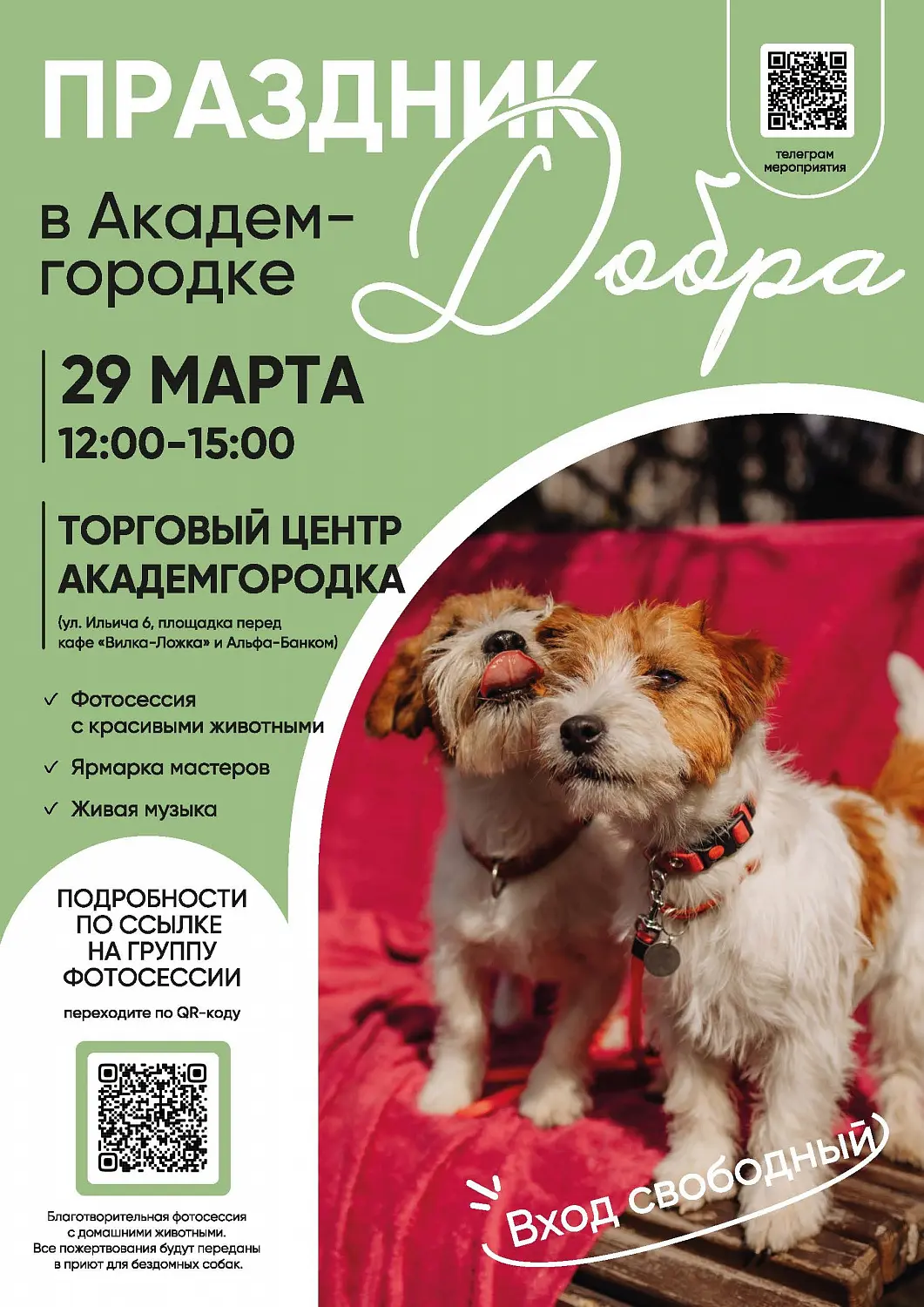 Праздник добра пройдет в Академгородке